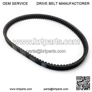 40 Series Drive Belt, 203792