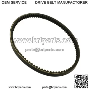 CVT Drive Belt 842-20-30
