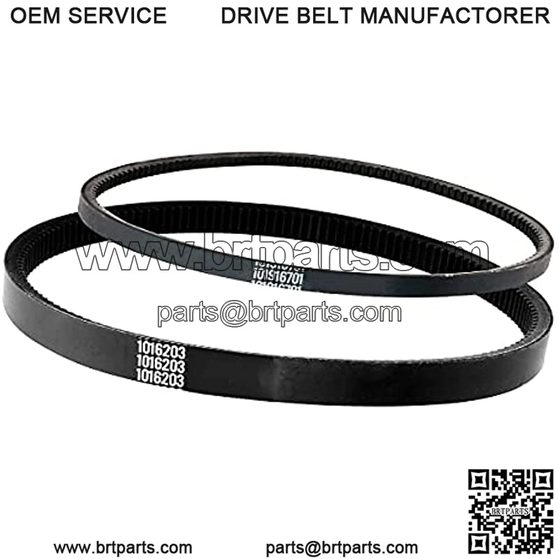 Club Car Starter Generator Belt and Drive Belt Kit for DS,Precedent Replace OEM#101916701 1016203 - Image 2