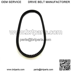 20 Series Belt 203587A - 884-120