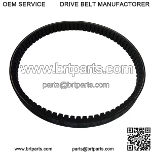 30 Series Belt 203595A