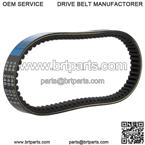 Belt POLINI Evolution Version 6