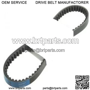 Polini Kevlar Belt Jog / Vino