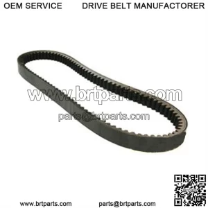 Belt, Dayco Performance Plus for 250cc Kymco Xciting, People S