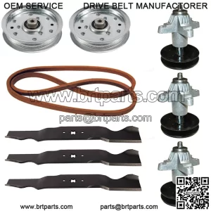 Rebuild Kit Fits Cub Cadet 54" Courage GT1554 GT1054 Spindle Blade Pulley Belt
