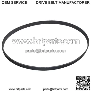 1709-5504 Quality Parts Belt